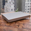 Platform Bed With Gold Leg, Brown Microfiber