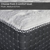 Spring Wall 14" Pocket Coil Luxury Mattress With Foaming Case