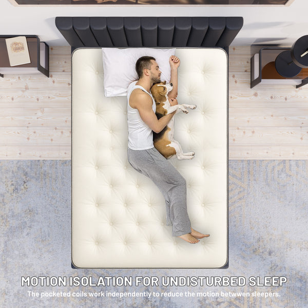 10-Inch medium plush Pillowtop Innerspring Fully Assembled Mattress