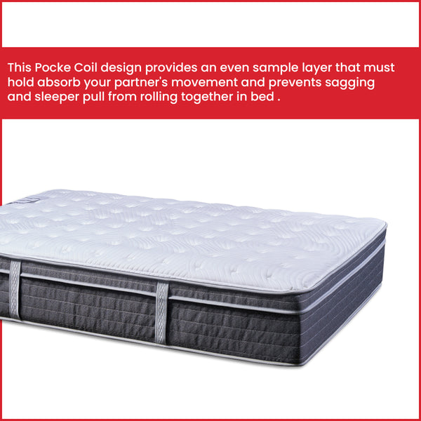 Spring Air 13-Inch Plush Euro Top Pocket Coil Hybrid Foam Encased Mattress