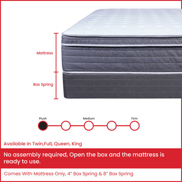 Spring Air 13-Inch Plush Euro Top Pocket Coil Hybrid Foam Encased Mattress